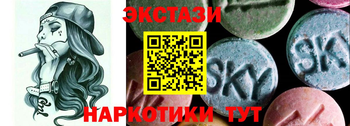 ЭКСТАЗИ бентли Губкинский