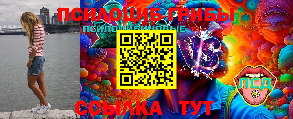 Галлюциногенные грибы Psilocybine cubensis Губкинский